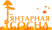 Интернет-магазин Янтарная сосна - мебель из сосны от производителя с доставкой по России